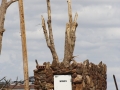 20070525jd263_storm_damage_greensburg_kansas_usa