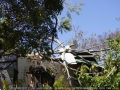 20071027jd29_storm_damage_dunoon_nsw