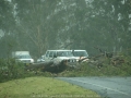 20081224mb35_storm_damage_n_of_kyogle_nsw