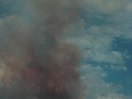 20010116jd01_wild_fire_narrabri_nsw