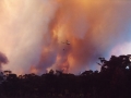 20021204jd01_wild_fire_glenorie_nsw