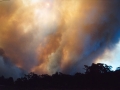 20021204jd02_wild_fire_glenorie_nsw