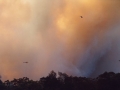 20021204jd03_wild_fire_glenorie_nsw