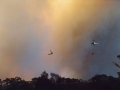 20021204jd04_wild_fire_glenorie_nsw