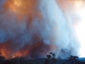 20021204jd06_wild_fire_glenorie_nsw