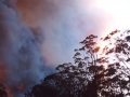 20021204jd09_wild_fire_glenorie_nsw