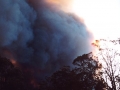 20021204jd11_wild_fire_glenorie_nsw