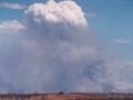 20021205jd06_wild_fire_rooty_hill_nsw