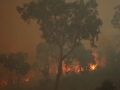 20060924jd46_wild_fire_pacific_park_nsw