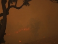 20060924jd47_wild_fire_pacific_park_nsw