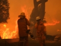 20060924jd48_wild_fire_pacific_park_nsw
