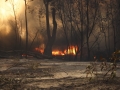 20060924jd57_wild_fire_pacific_park_nsw