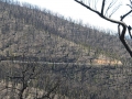 20090820mb16_wild_fire_kinglake_vic