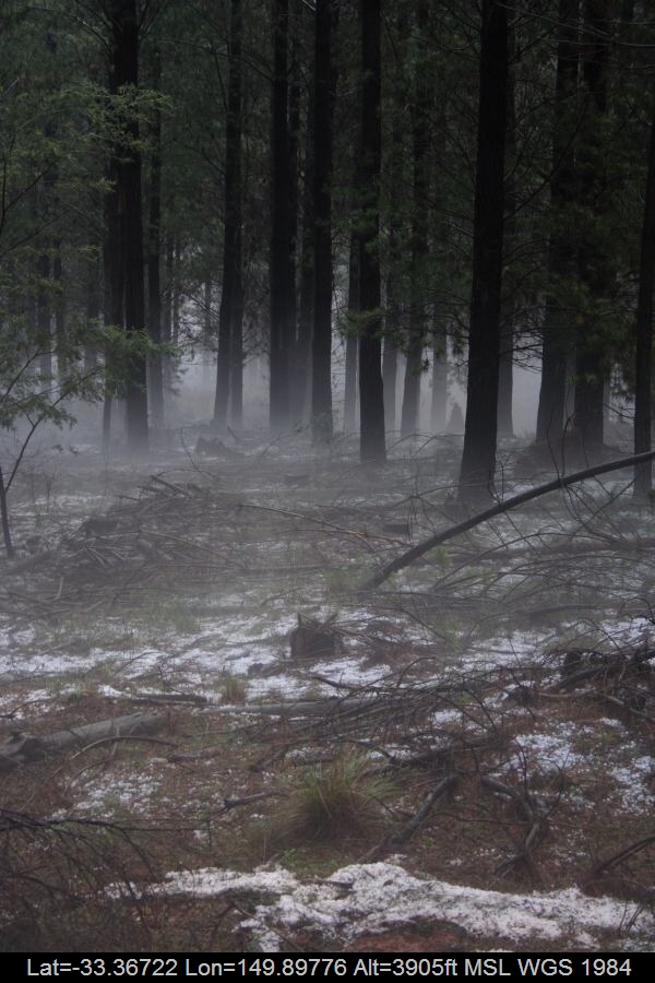 20070203jd26_fog_mist_frost_sunny_corner_nsw