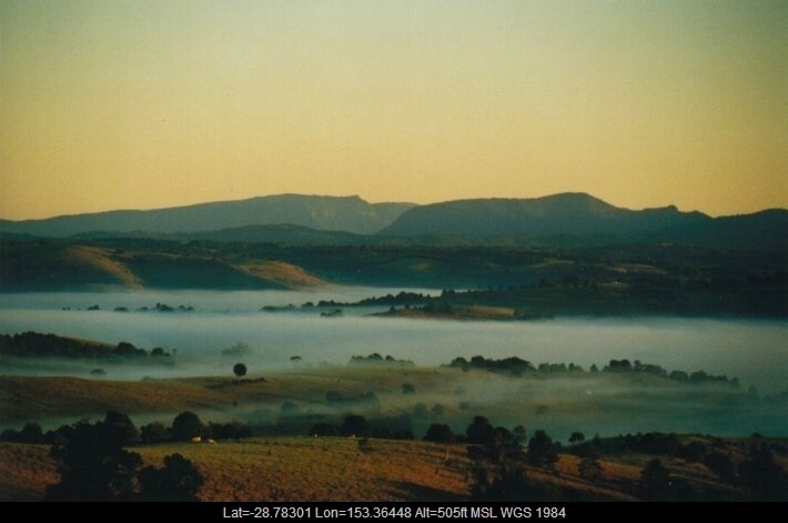 Gallery: Fog Mist Frost