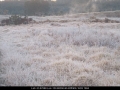 20020712jd11_fog_mist_frost_schofields_nsw