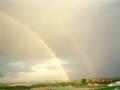 19911214jd04_rainbow_pictures_schofields_nsw