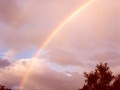 19970920mb08_rainbow_pictures_oakhurst_nsw