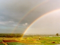 19980814jd01_rainbow_pictures_schofields_nsw