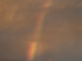 20030228jd07_rainbow_pictures_schofields_nsw
