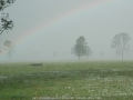 20041109mb50_rainbow_pictures_leeville_nsw