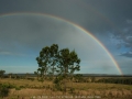 20061111mb31_rainbow_pictures_whiporie_nsw