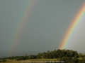 20061214mb61_rainbow_pictures_mcleans_ridges_nsw