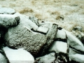 20010708mb06_snow_pictures_ben_lomond_nsw