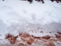 20010827jd07_snow_pictures_mt_lambie_nsw