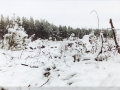 20030726jd12_snow_pictures_near_shooters_hill_nsw
