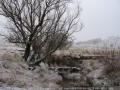 20050623jd07_snow_pictures_near_oberon_nsw