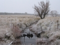 20050623jd11_snow_pictures_near_oberon_nsw