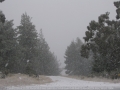 20050623jd23_snow_pictures_near_oberon_nsw