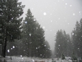 20050623jd37_snow_pictures_near_oberon_nsw