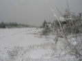 20050623jd58_snow_pictures_near_oberon_nsw