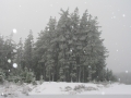 20050623jd62_snow_pictures_near_oberon_nsw