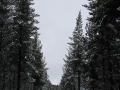 20050710jd08_snow_pictures_near_oberon_nsw