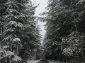 20050710jd30_snow_pictures_near_oberon_nsw