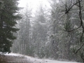 20050810jd017_snow_pictures_near_shooters_hill_nsw