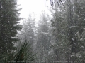 20050810jd018_snow_pictures_near_shooters_hill_nsw