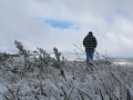 20050810jd106_snow_pictures_near_shooters_hill_nsw