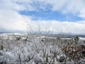 20050810jd110_snow_pictures_near_shooters_hill_nsw