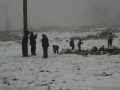 20070609mb67_snow_pictures_near_tenterfield_nsw