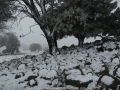 20070628mb17_snow_pictures_ben_lomond_nsw
