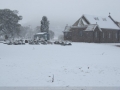 20080518mb81_snow_pictures_ben_lomond_nsw