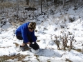 20080728mb18_snow_pictures_ben_lomond_nsw