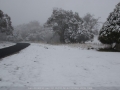 20090716mb18_snow_pictures_ben_lomond_nsw