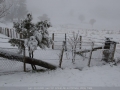 20090716mb20_snow_pictures_ben_lomond_nsw