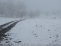 20090716mb41_snow_pictures_ben_lomond_nsw