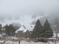 20090716mb47_snow_pictures_ben_lomond_nsw